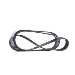 V Ribbed Belt RIDEX 305P0318 OE Ref R500378