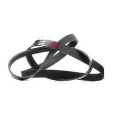 V Ribbed Belt RIDEX 305P0323 OE Ref 1364060