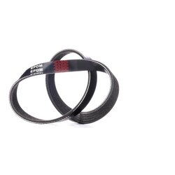 V Ribbed Belt RIDEX 305P0324 OE Ref 99919220450