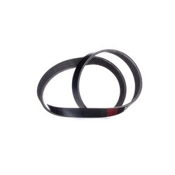 V Ribbed Belt RIDEX 305P0329 OE Ref 7629229