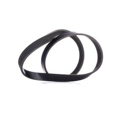 V Ribbed Belt RIDEX 305P0336 OE Ref 6727881