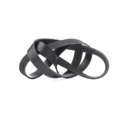 V Ribbed Belt RIDEX 305P0344 OE Ref 1638698