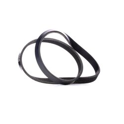 V Ribbed Belt RIDEX 305P0360 OE Ref 7793608