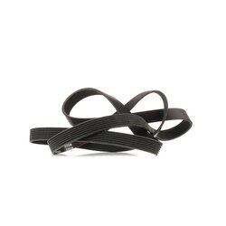 V Ribbed Belt RIDEX 305P0362 OE Ref 04301RNA306