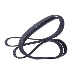 V Ribbed Belt RIDEX 305P0365 OE Ref K53010279