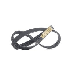 V Ribbed Belt RIDEX 305P0373 OE Ref 7794070
