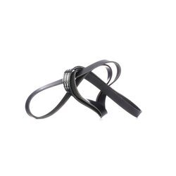 V Ribbed Belt RIDEX 305P0379 OE Ref 4359071