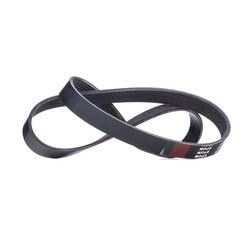 V Ribbed Belt RIDEX 305P0383 OE Ref 11720JD00C