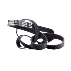 V Ribbed Belt RIDEX 305P0385 OE Ref 4434612