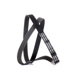 V Ribbed Belt RIDEX 305P0387 OE Ref 6200268