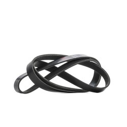 V Ribbed Belt RIDEX 305P0388 OE Ref 1036916