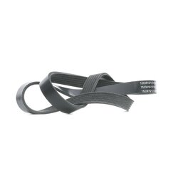 V Ribbed Belt RIDEX 305P0393 OE Ref 55202585