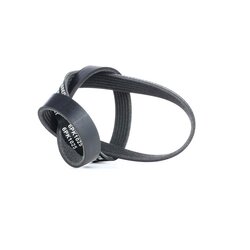 V Ribbed Belt RIDEX 305P0398 OE Ref 04L 260 849 C