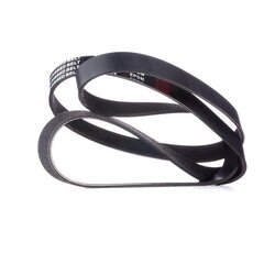 V Ribbed Belt RIDEX 305P0416 OE Ref 11 28 7 570 664