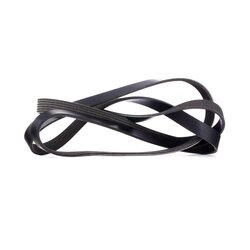 V Ribbed Belt RIDEX 305P0424 OE Ref 96440498