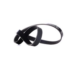 V Ribbed Belt RIDEX 305P0425 OE Ref 551933660