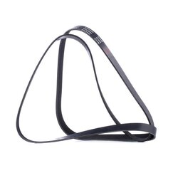 V Ribbed Belt RIDEX 305P0430 OE Ref 4593 684AA