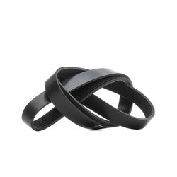 V Ribbed Belt RIDEX 305P0431 OE Ref 282 993 00 96