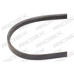 Courroie RIDEX V à nervures 305P0435 pour FIAT, SUBARU, LANCIA et plus encore... RIDEX