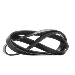 V Ribbed Belt RIDEX 305P0436 OE Ref 0029935096