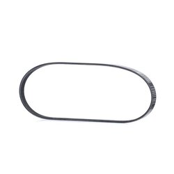 V Ribbed Belt RIDEX 305P0441 OE Ref 038260849A