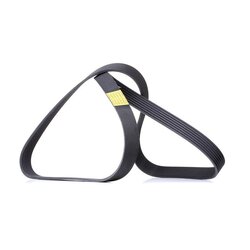 V Ribbed Belt RIDEX 305P0444 OE Ref A0129971692