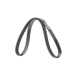 V Ribbed Belt RIDEX 305P0446 OE Ref 04C260849E