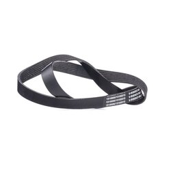 V Ribbed Belt RIDEX 305P0451 OE Ref 504000413