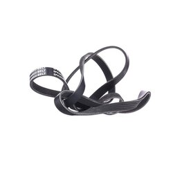 Courroie trapézoïdale à nervures RIDEX 305P0455 pour OPEL, LAND ROVER, BMW 11287787516