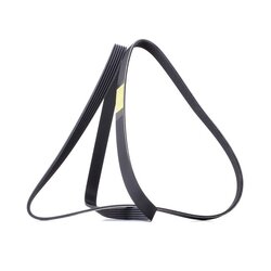 V Ribbed Belt RIDEX 305P0458 OE Ref 60676135