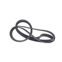 V Ribbed Belt RIDEX 305P0459 OE Ref 999 192 380 50