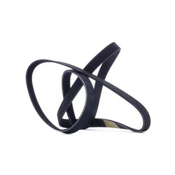 V Ribbed Belt RIDEX 305P0466 OE Ref 60815805