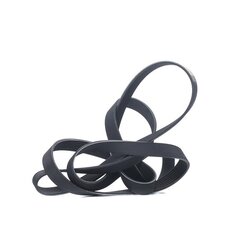 V Ribbed Belt RIDEX 305P0469 OE Ref 1129181