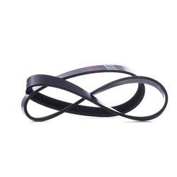 V Ribbed Belt RIDEX 305P0471 OE Ref 1141781