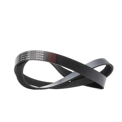 V Ribbed Belt RIDEX 305P0477 OE Ref 11 28 7 628 661