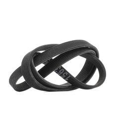 V Ribbed Belt RIDEX 305P0486 OE Ref 7808107