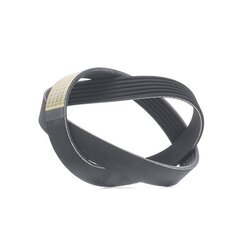 V Ribbed Belt RIDEX 305P0487 OE Ref 04417 481
