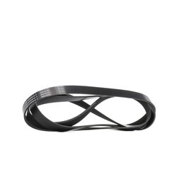 V Ribbed Belt RIDEX 305P0488 OE Ref 1129182