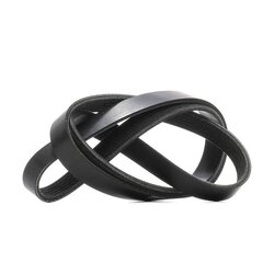 V Ribbed Belt RIDEX 305P0519 OE Ref 5750Q4