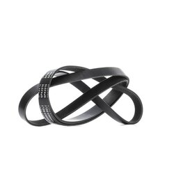 V Ribbed Belt RIDEX 305P0531 OE Ref 1387693