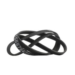 V Ribbed Belt RIDEX 305P0532 OE Ref 0039933396