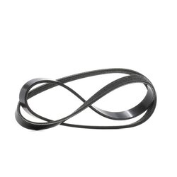 V Ribbed Belt RIDEX 305P0535 OE Ref 079903137AA