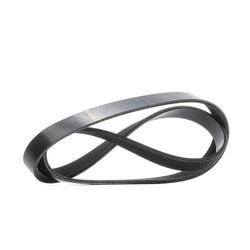 V Ribbed Belt RIDEX 305P0536 OE Ref 46806146