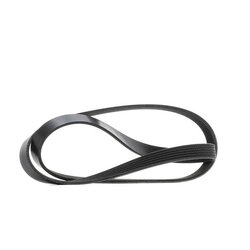 V Ribbed Belt RIDEX 305P0544 OE Ref 11287835178