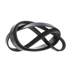 V Ribbed Belt RIDEX 305P0575 OE Ref 0029931196