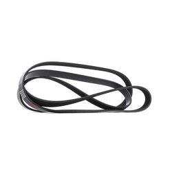 V Ribbed Belt RIDEX 305P0614 OE Ref 0079978192