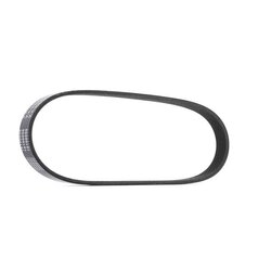 V Ribbed Belt RIDEX 305P0615 OE Ref 0019933996
