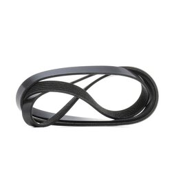 V Ribbed Belt RIDEX 305P0629 OE Ref 1084994