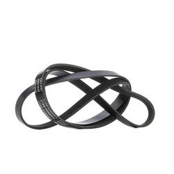 V Ribbed Belt RIDEX 305P0633 OE Ref 0039934596