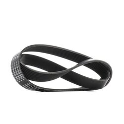 V Ribbed Belt RIDEX 305P0636 OE Ref 4898546